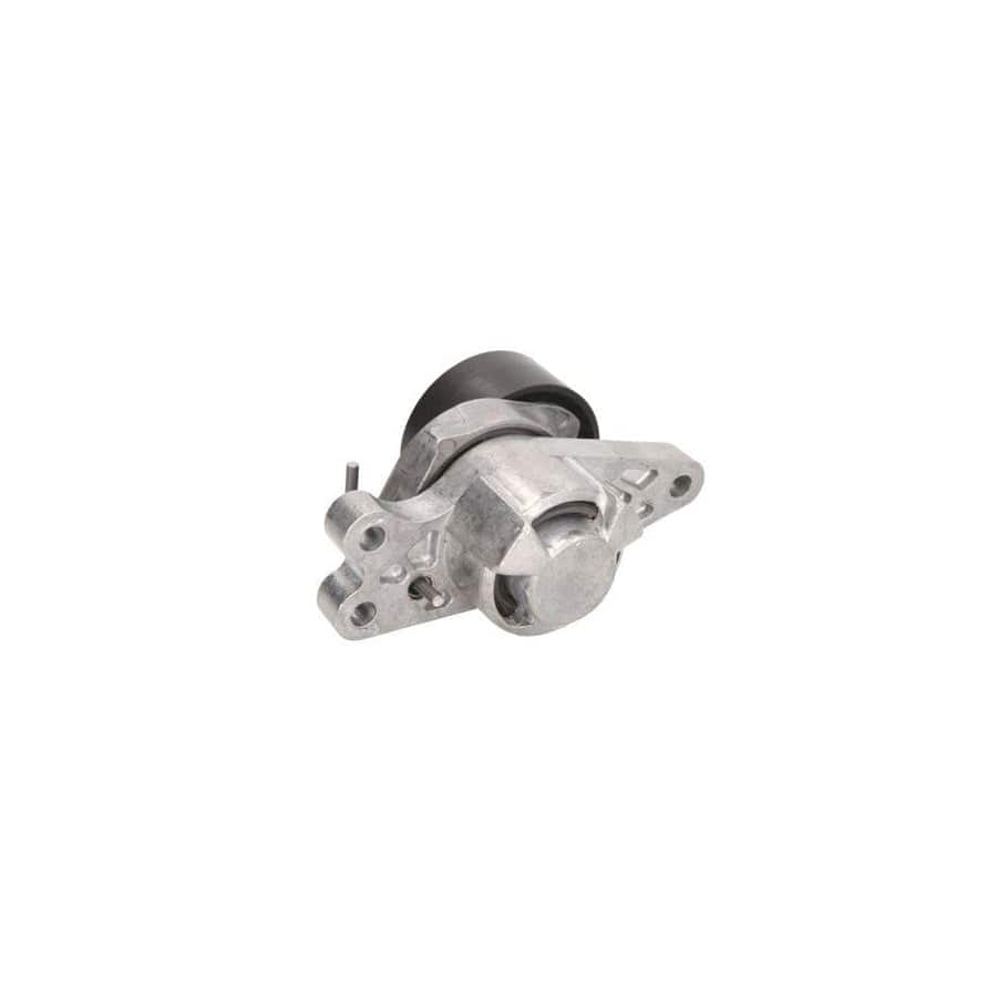 BTA E3C0013BTA Tensioner Pulley