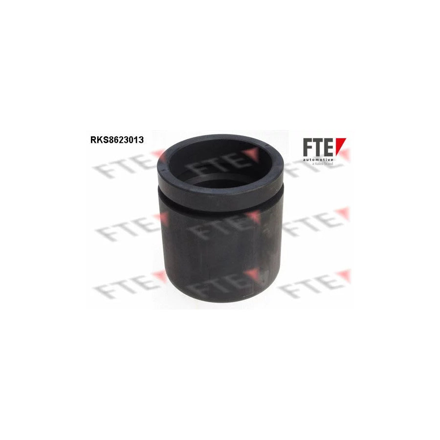 FTE Rks8623013 Piston, Brake Caliper