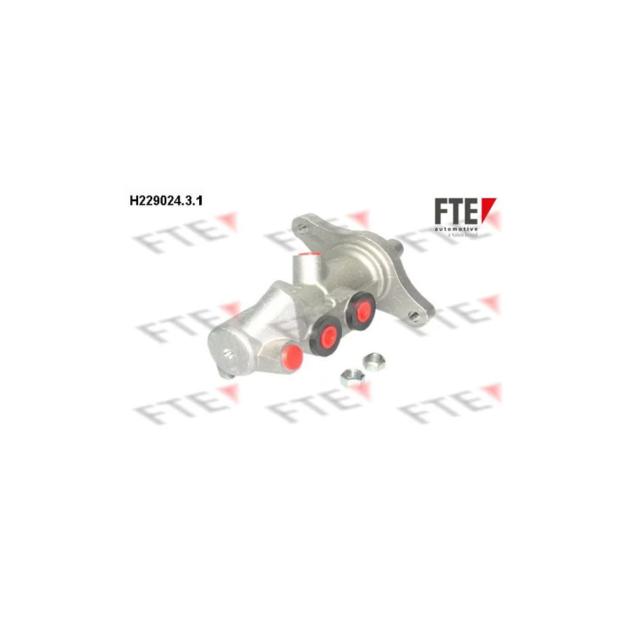 FTE 9220162 Brake Master Cylinder for Audi A2 (8Z0)
