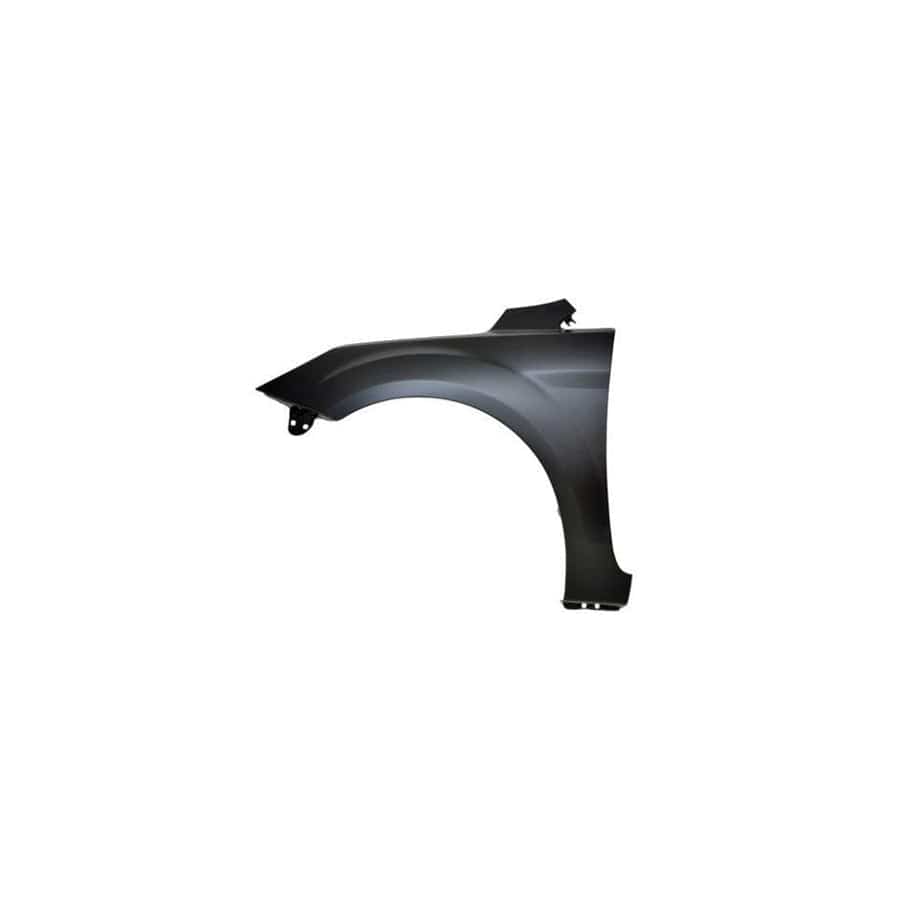 Abakus 01713201 Wing Fender for Ford Focus