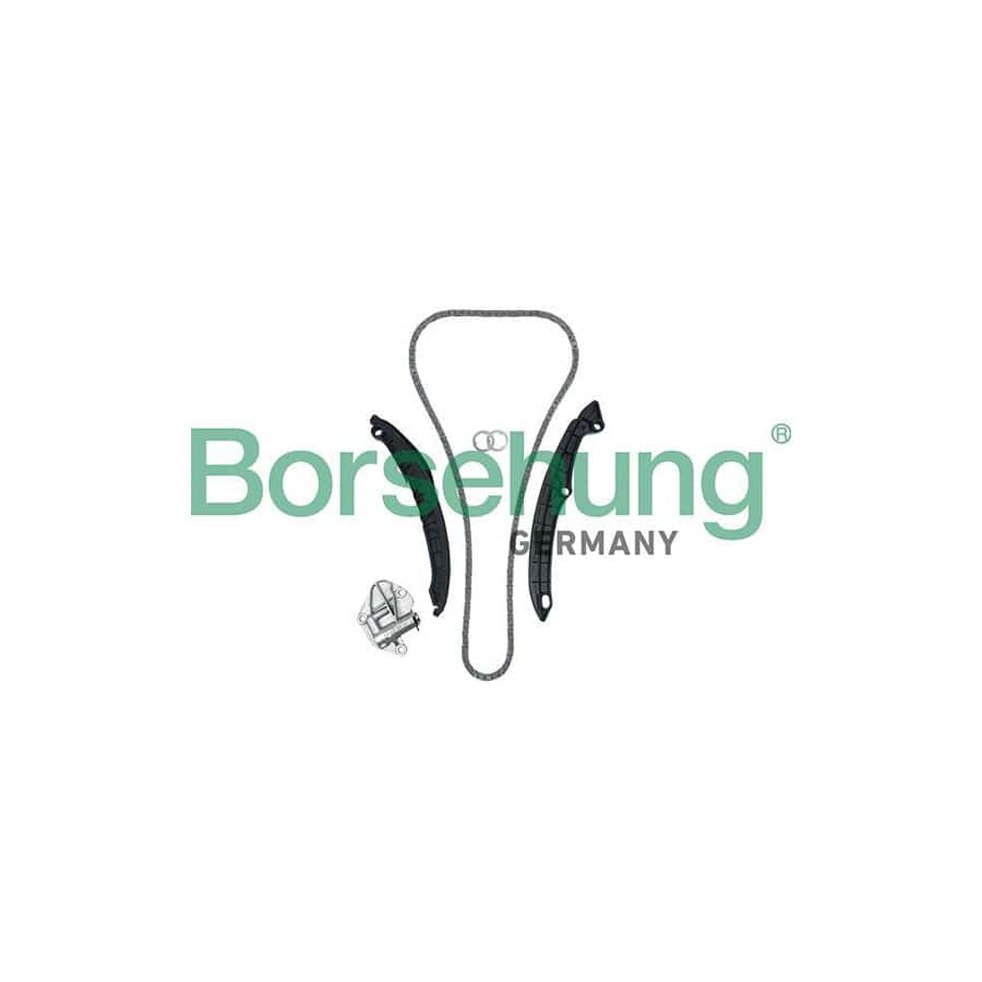 Borsehung B19229 Timing Chain Kit