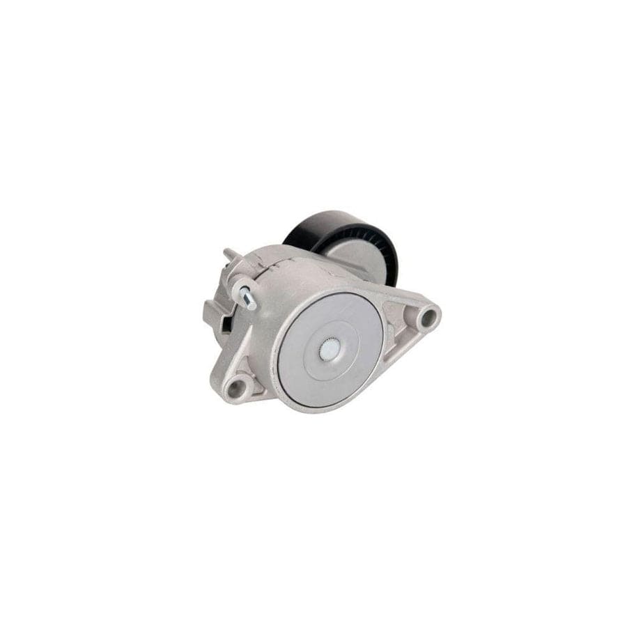 BTA E3B0025BTA Tensioner Lever, V-Ribbed Belt
