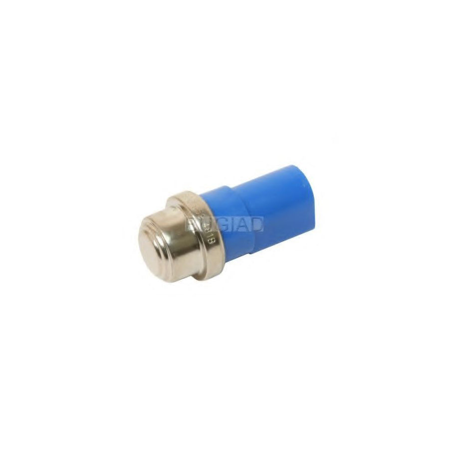 BUGIAD Bsp24309 Temperature Switch, Radiator Fan