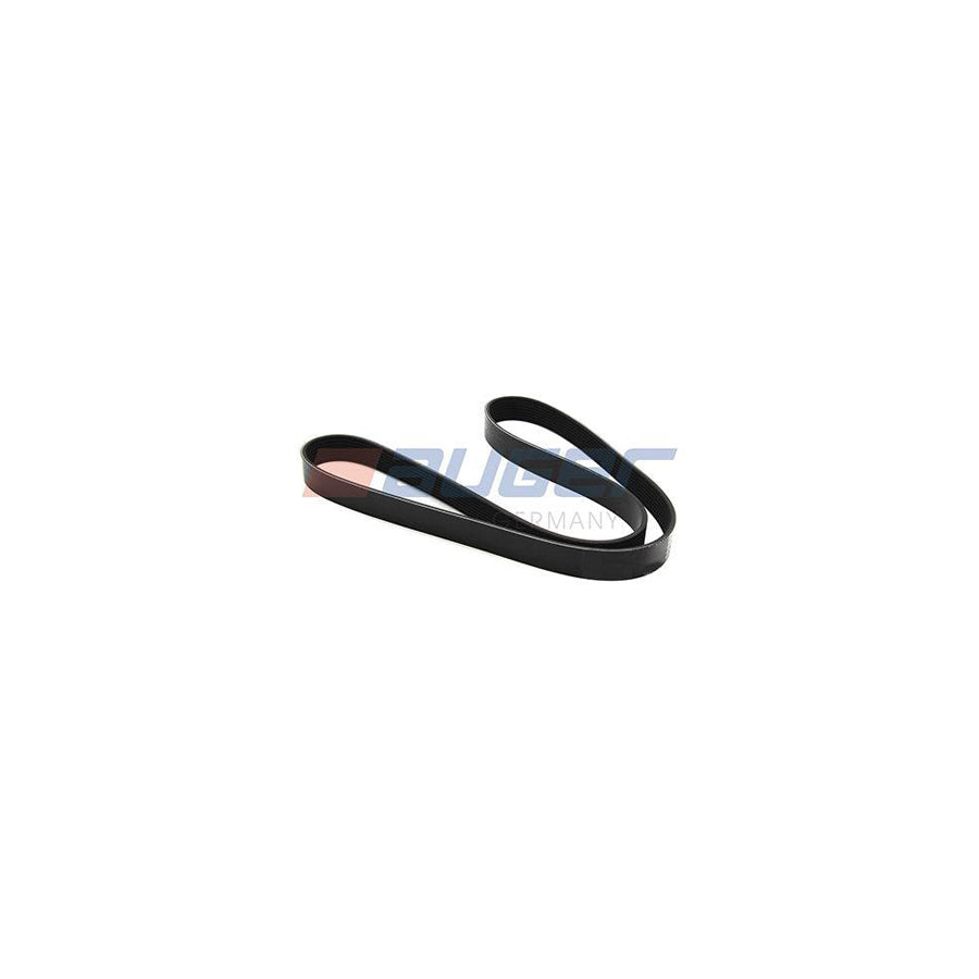 Auger 79917 V-Ribbed Belt