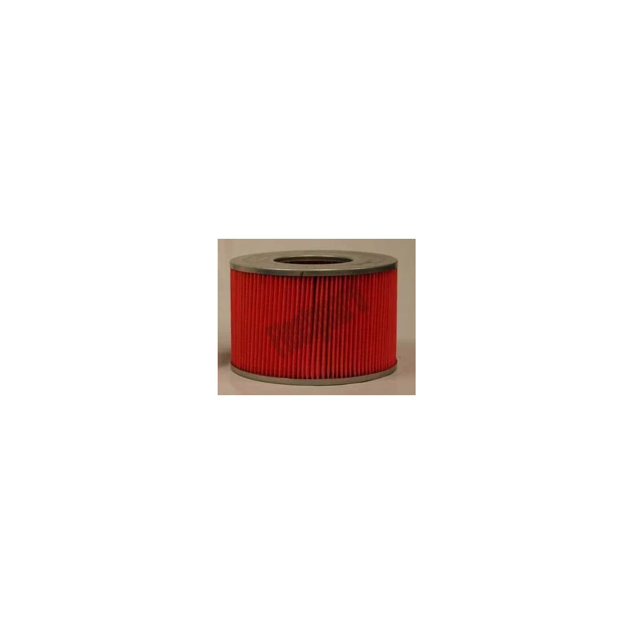 Fleetguard Af25569 Air Filter
