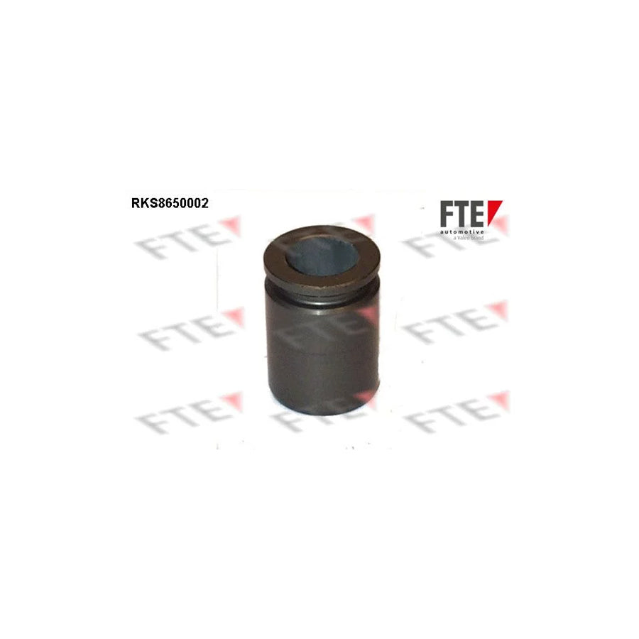 FTE 9313451 Piston, Brake Caliper