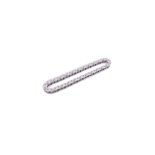 Genuine BMW 11417797896 F25 F07 F39 Chain (Inc. X5 40dX, 220dX & 325d) | ML Performance UK Car Parts