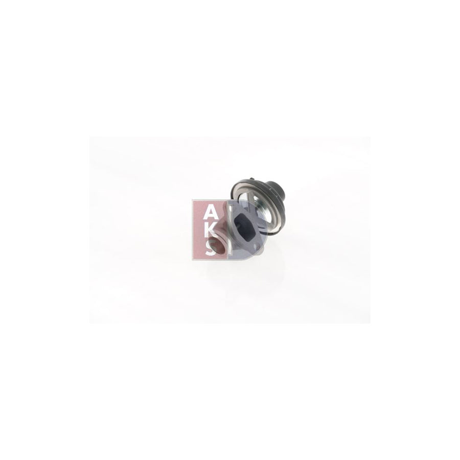 AKS Dasis 045165N Egr Valve