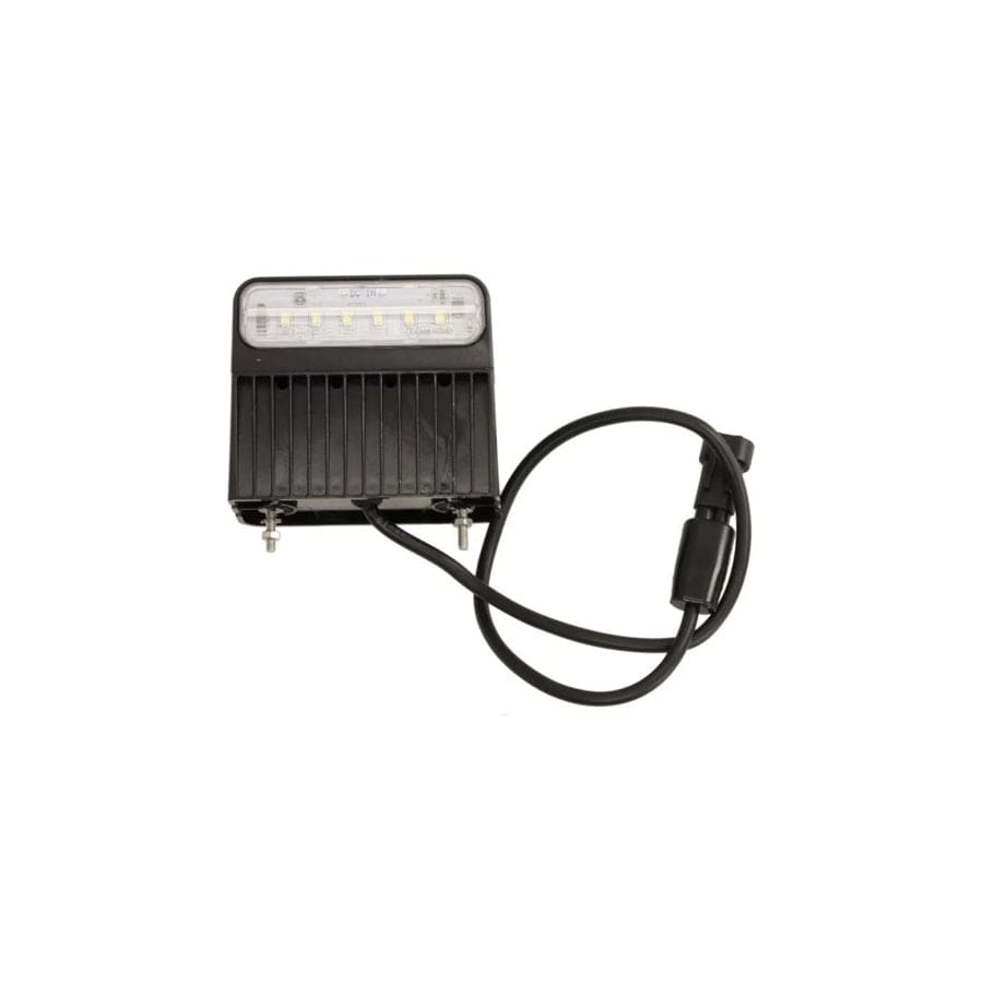 Aspock Regpoint LL 36-3867-004 Licence Plate Light