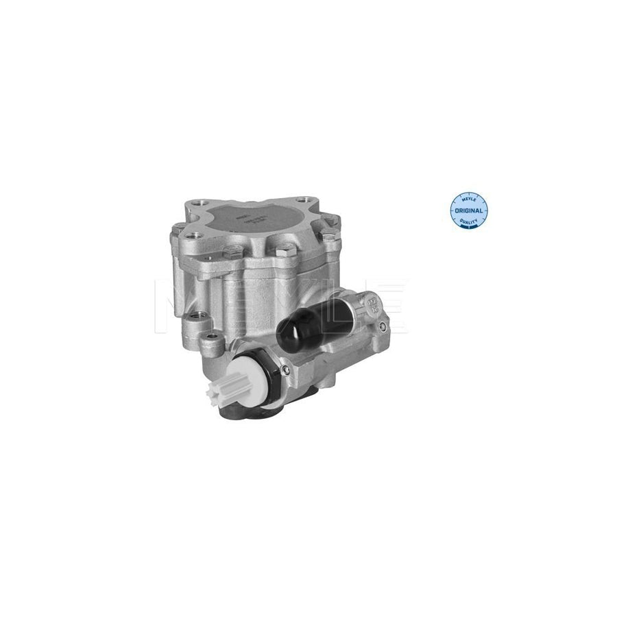 Meyle 114 631 0063 Power Steering Pump