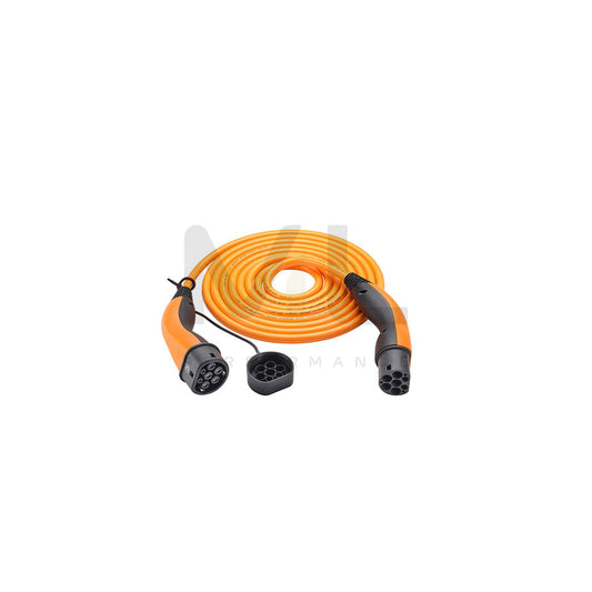 LAPP Helix 5555935015 Charging cable Charge Mode 3, Charging coupler type 2, Charging plug type 2, 32A, 22kW, 5m, Phases 3, 440V, IP55
