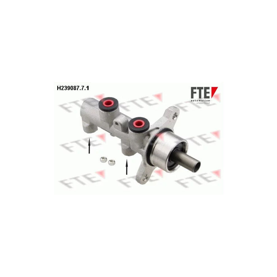 FTE H239087.7.1 Brake Master Cylinder
