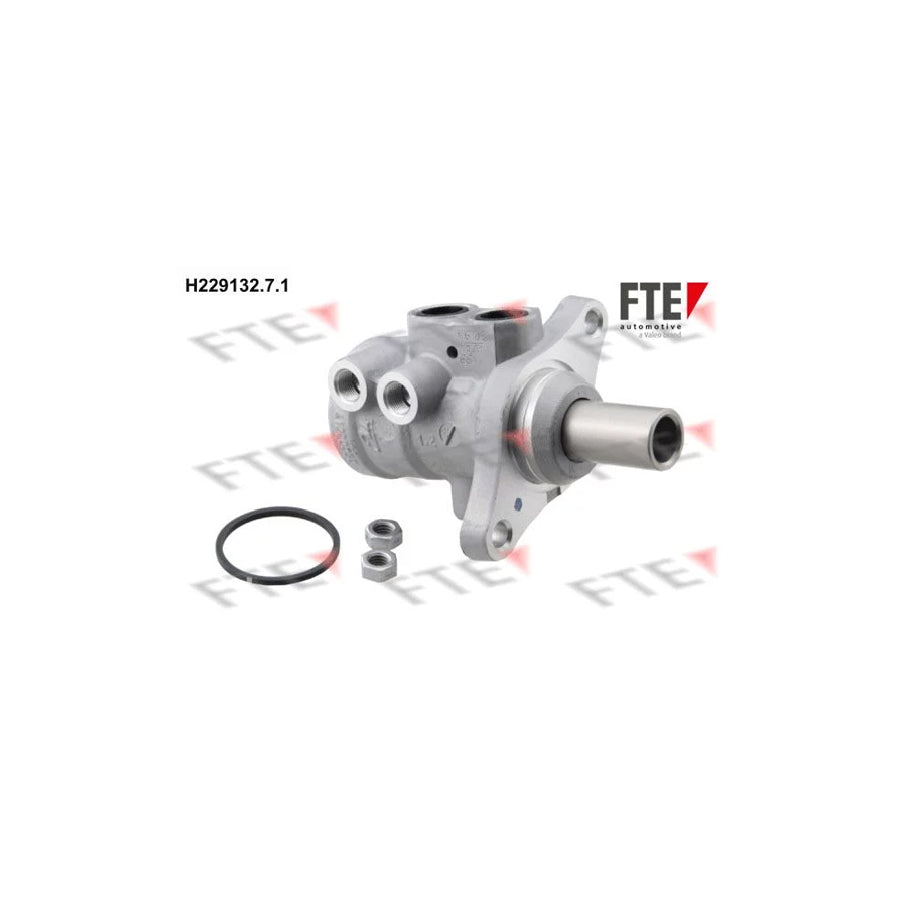 FTE 9220186 Brake Master Cylinder for Peugeot 206