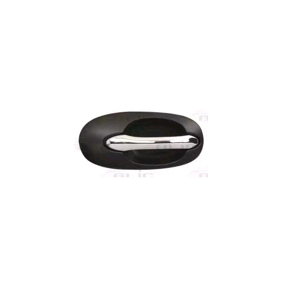 Blic 6010-53-012404P Door Handle For Kia Sedona