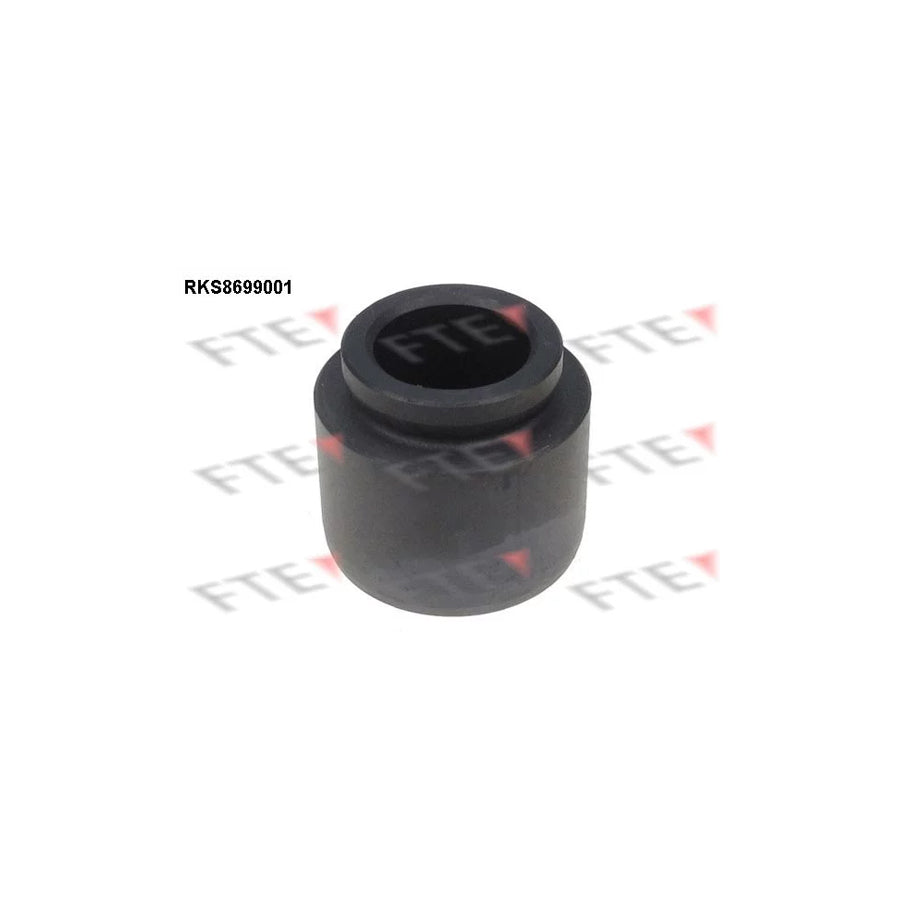 FTE 9313475 Piston, Brake Caliper