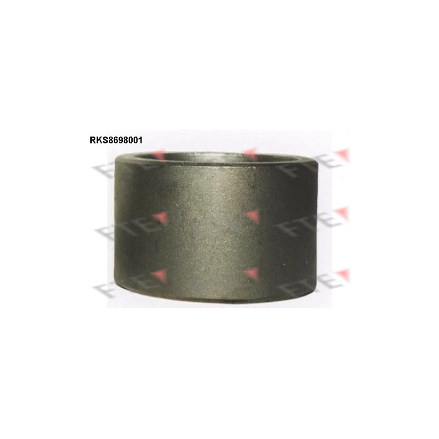 FTE 9313474 Piston, Brake Caliper