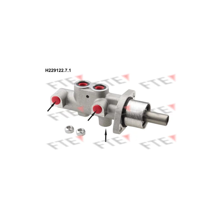 FTE 9220180 Brake Master Cylinder for Peugeot 206
