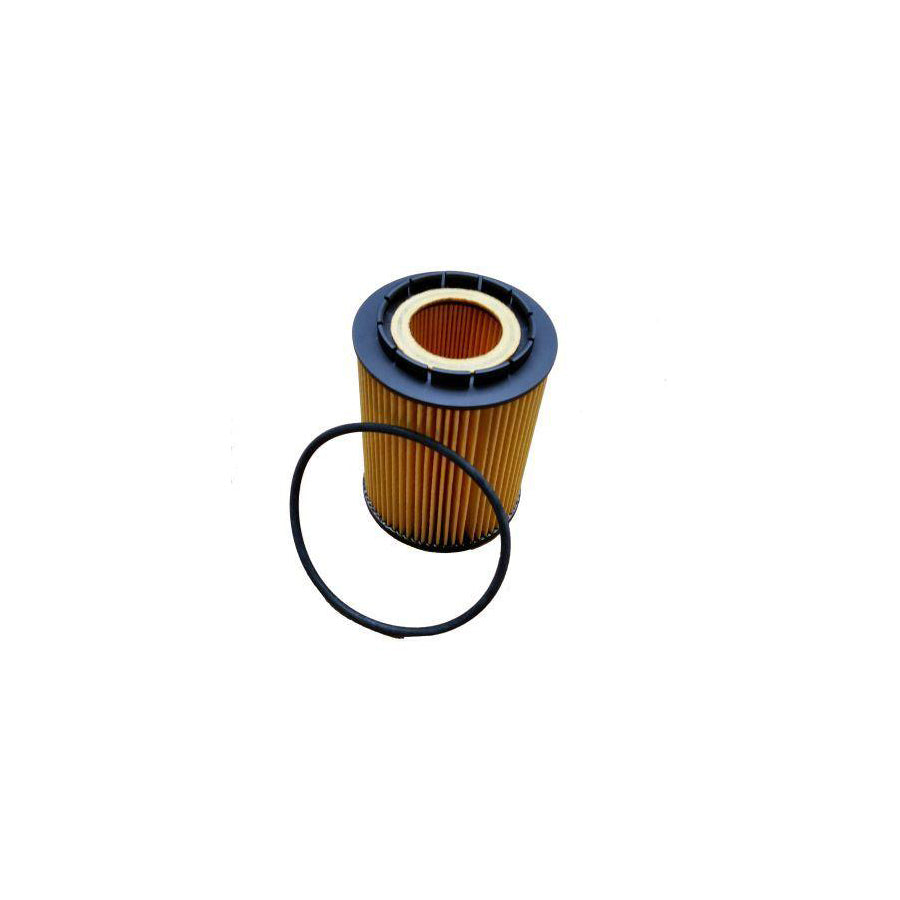 BUGIAD Bsp24334 Oil Filter