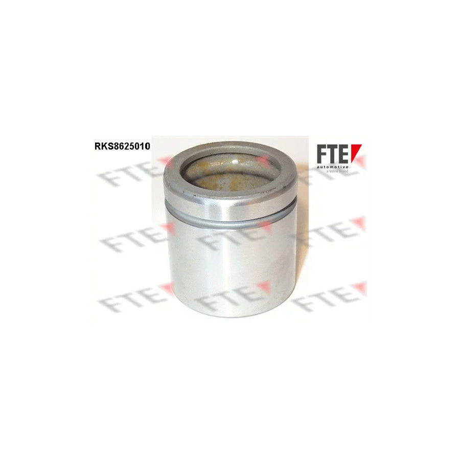 FTE Rks8625010 Piston, Brake Caliper