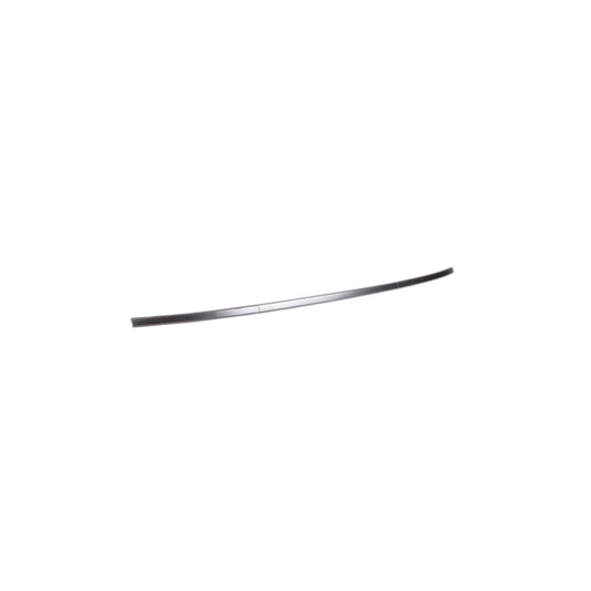 Genuine BMW 51138201049 E46 Roof Molding Left SCHWARZ (Inc. 316i, 316i 1.9 & 318d) | ML Performance US Car Parts