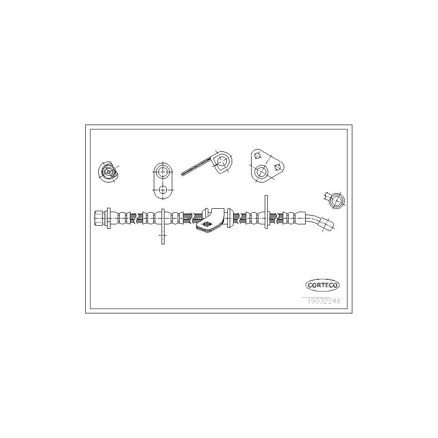 Corteco 19032246 Brake Hose