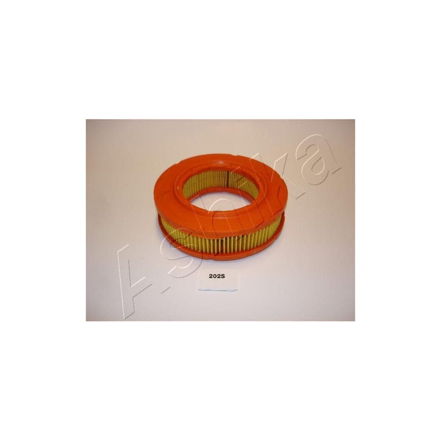 Ashika 20-02-202 Air Filter