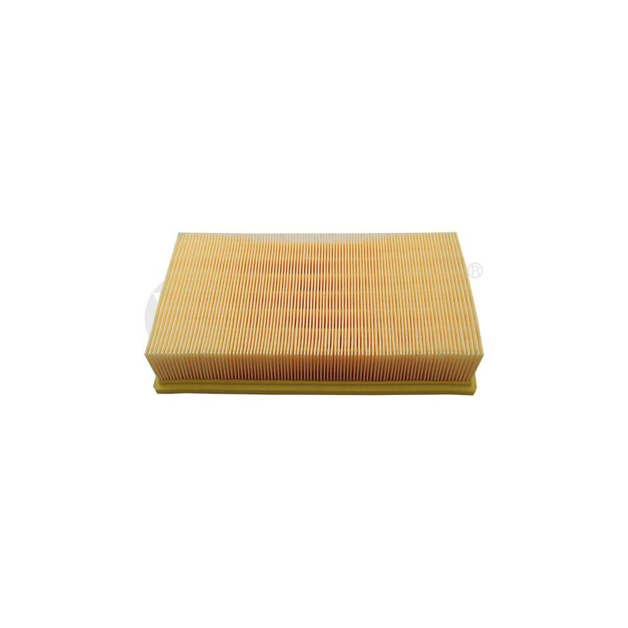 Vika 11290208301 Air Filter