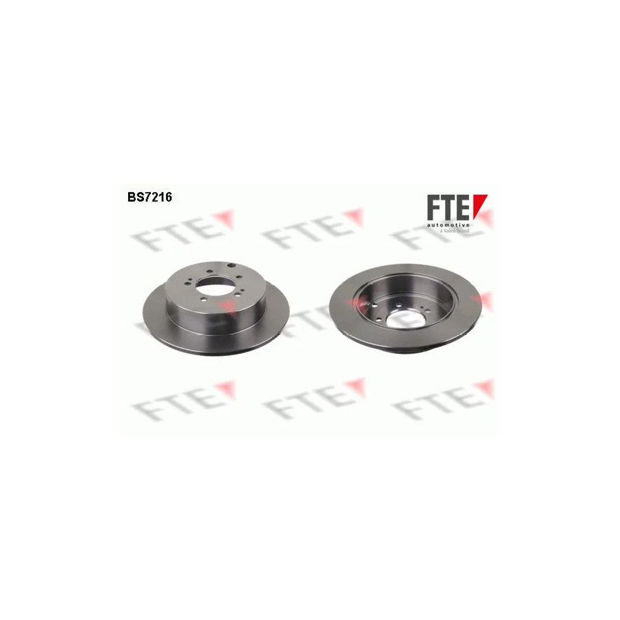 FTE 9072315 Brake Disc