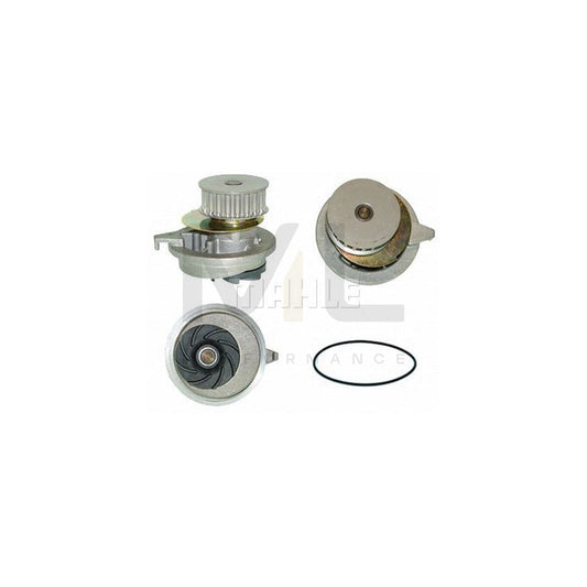 MAHLE ORIGINAL CP 75 000P Water Pump Teeth Quant.: 21 | ML Performance Car Parts