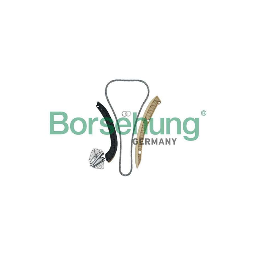 Borsehung B19256 Timing Chain Kit