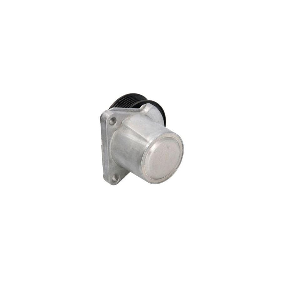 BTA E3G0018BTA Tensioner Pulley