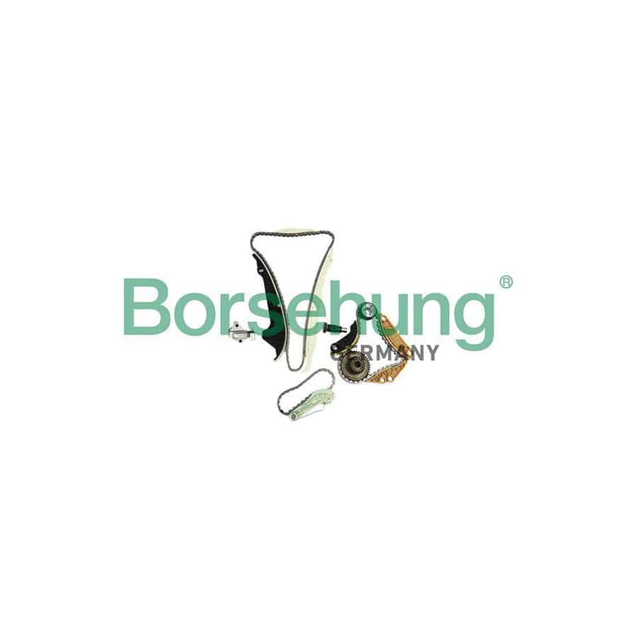 Borsehung B19254 Timing Chain Kit