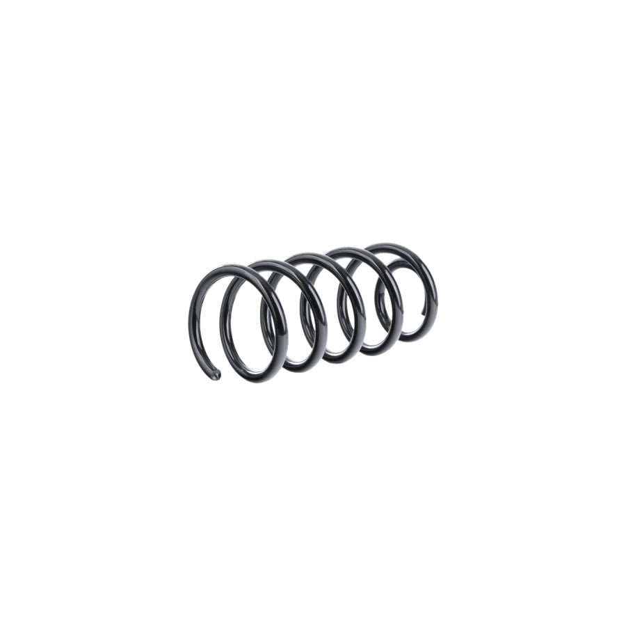 BUGIAD Bsp24344 Coil Spring for VW Transporter