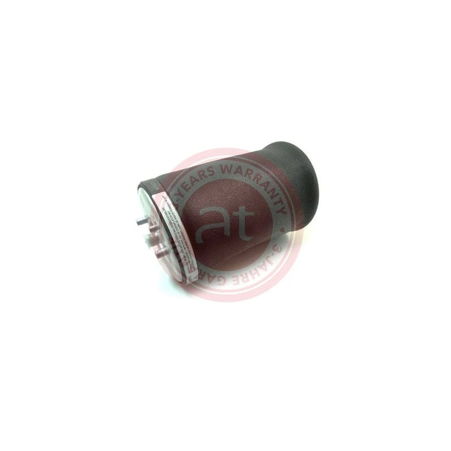 at autoteile germany At10213 Air Spring, Suspension for BMW X5 (E53)