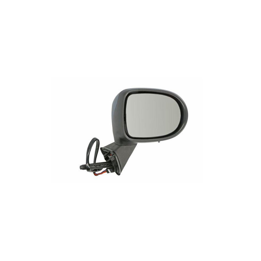 Blic 5402-09-2002202P Wing Mirror For Renault Modus / Grand Modus (F, Jp)