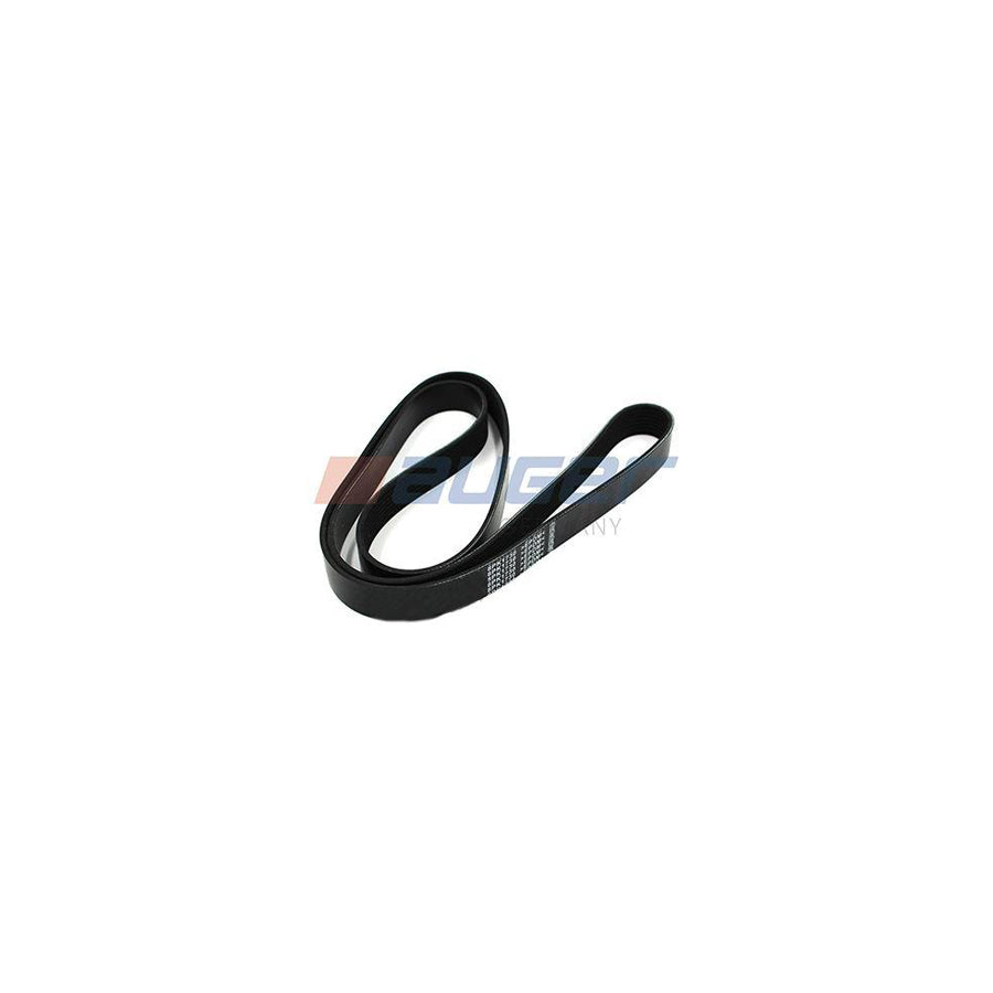 Auger 79928 V-Ribbed Belt