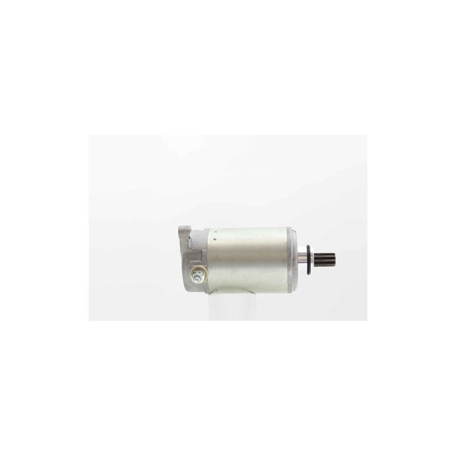 Alanko 10439134 Starter Motor