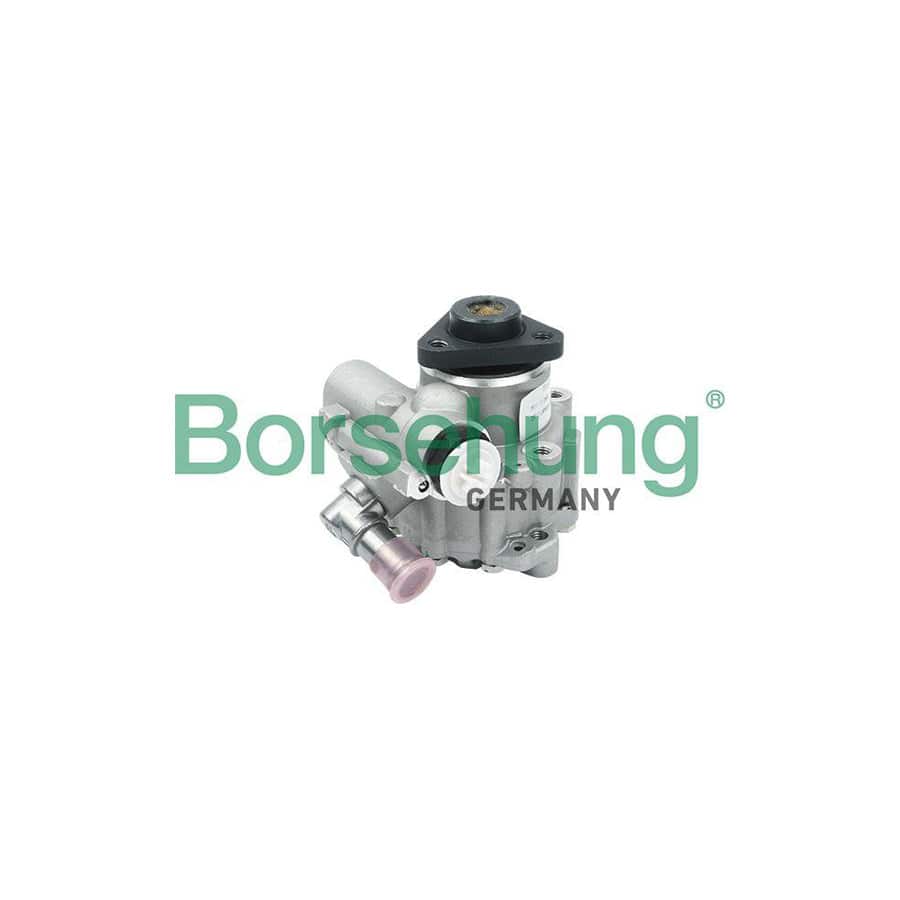 Borsehung B13210 Power Steering Pump