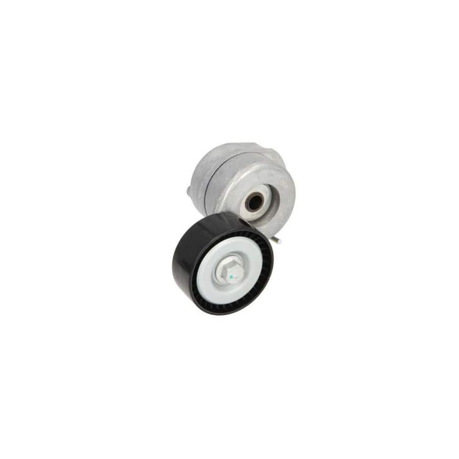 BTA E3R0001BTA Tensioner Pulley