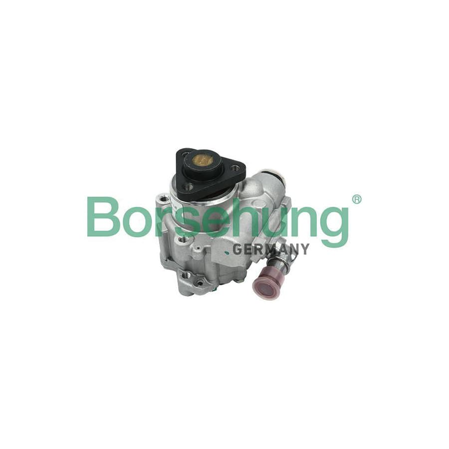 Borsehung B13209 Power Steering Pump for Audi A6