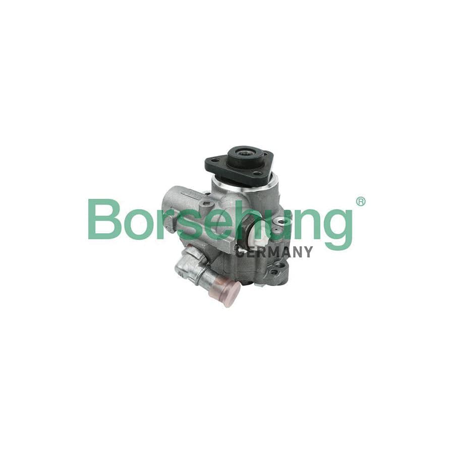 Borsehung B13208 Power Steering Pump for Audi A6
