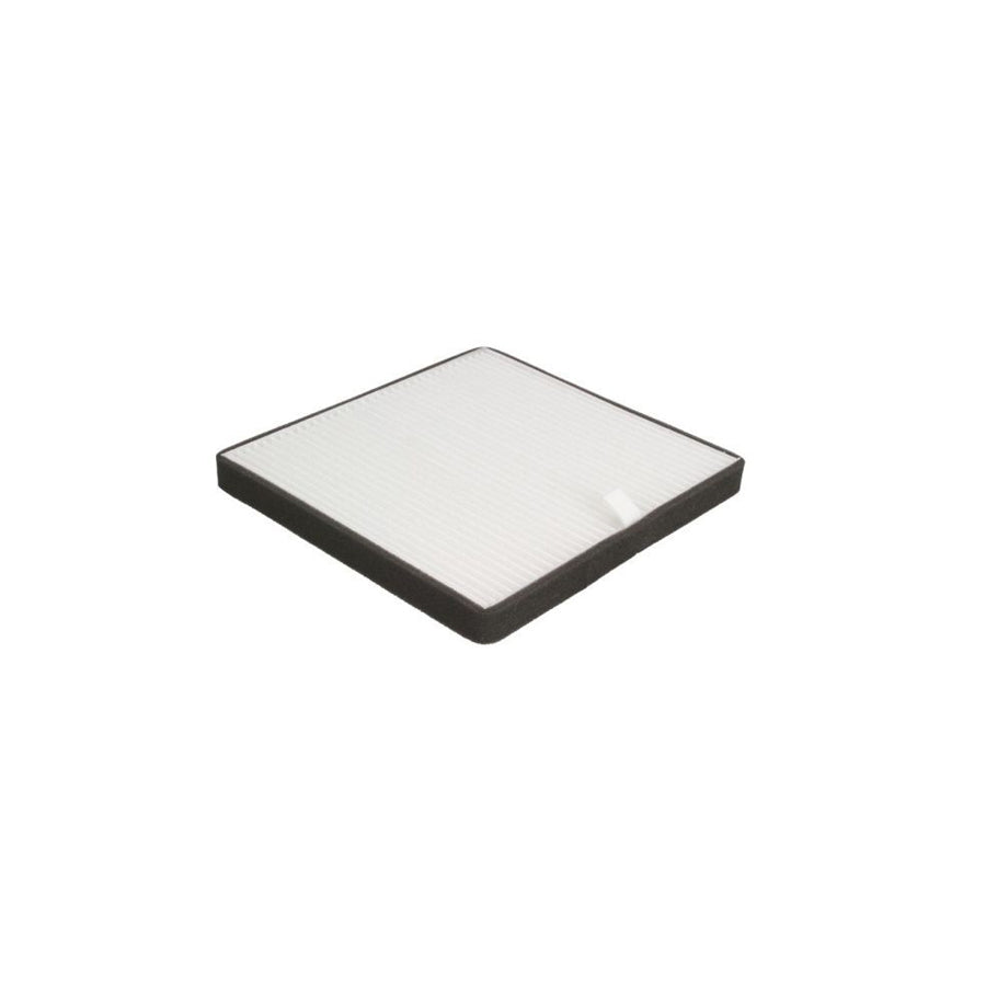 JC Premium B4V005PR Pollen Filter