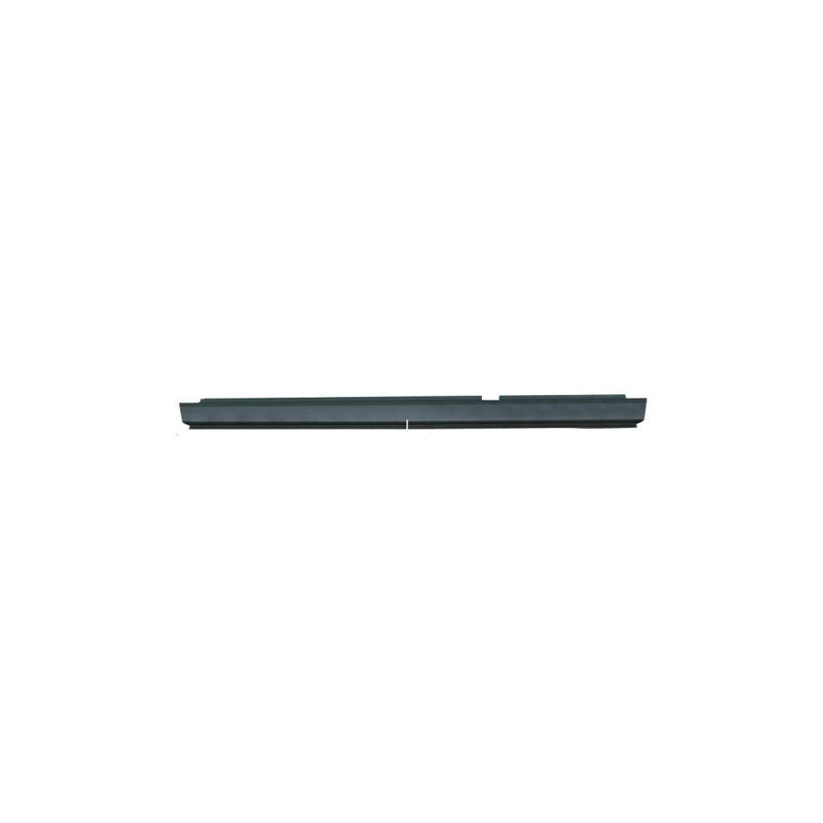 Blic 6505-06-2096002P Rocker Panel