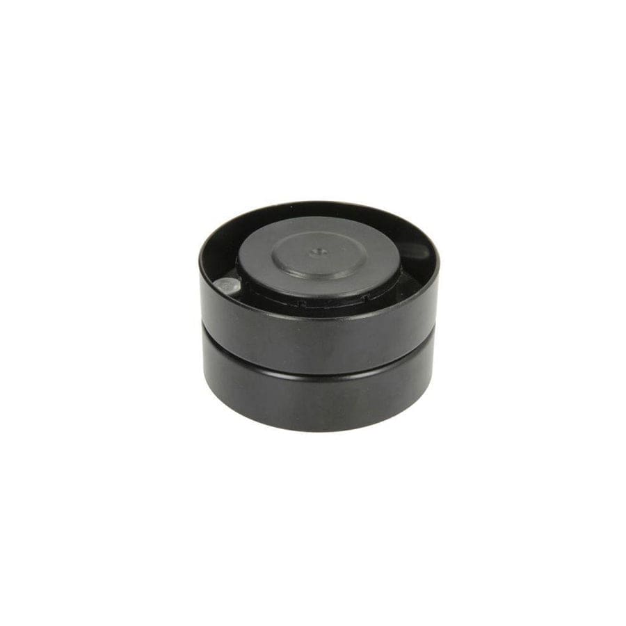 BTA B05-Ag-111 Tensioner Pulley