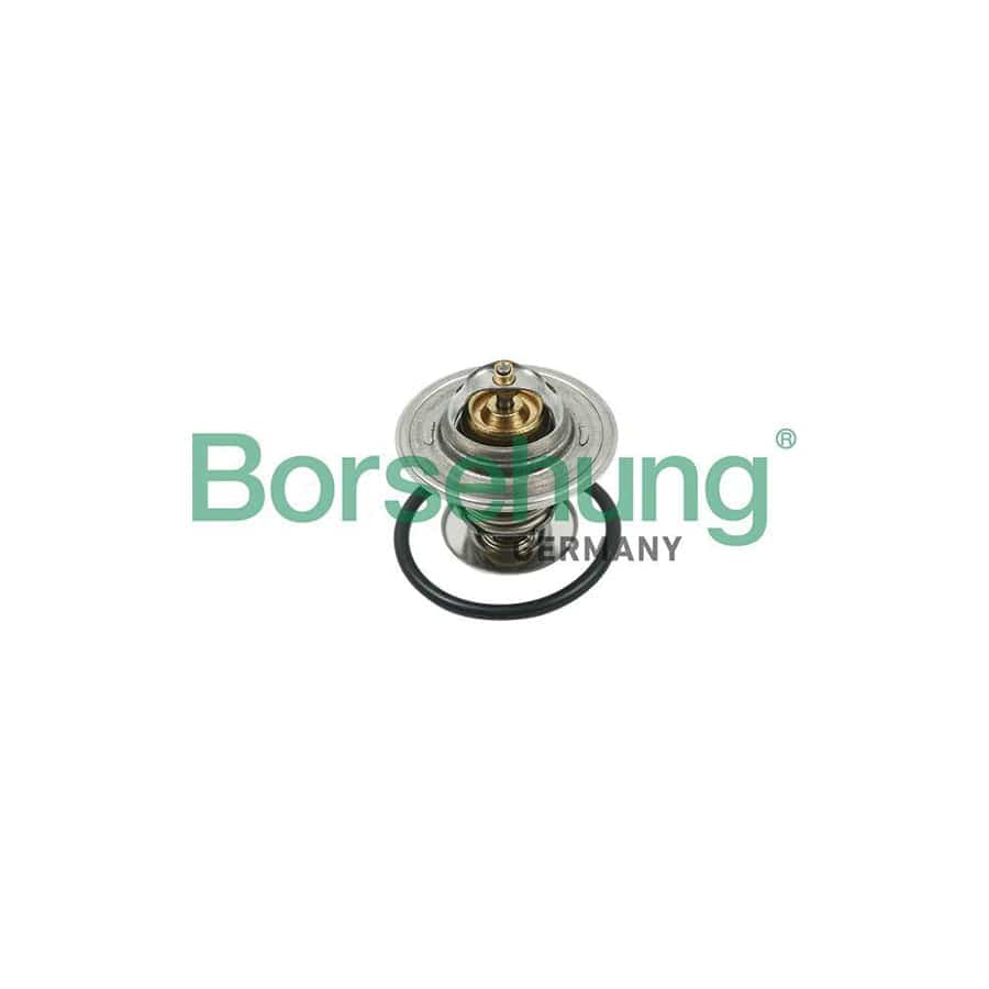 Borsehung B13141 Engine Thermostat