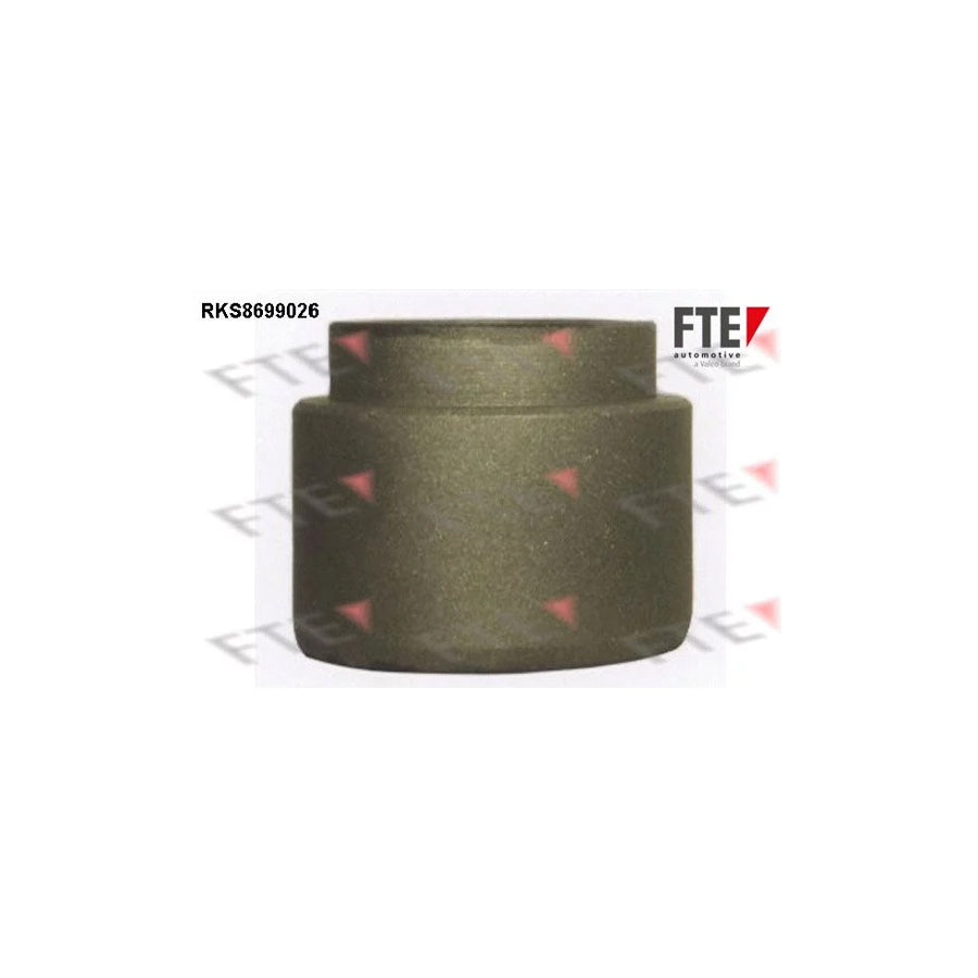 FTE 9313489 Piston, Brake Caliper