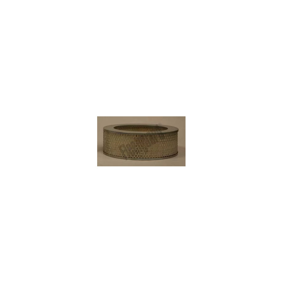 Fleetguard Af25601 Air Filter