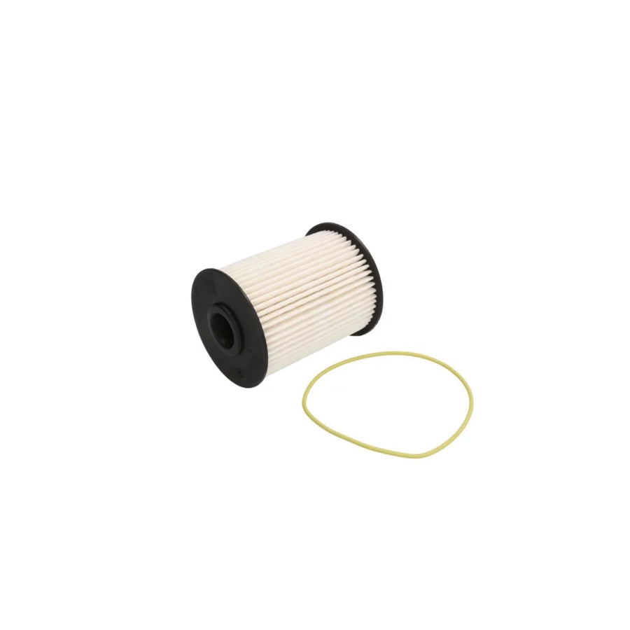 Fleetguard Fs19855 Fuel Filter