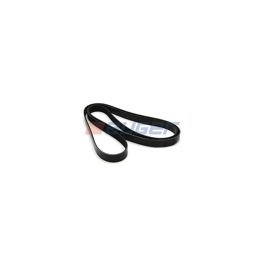 Auger 79955 V-Ribbed Belt