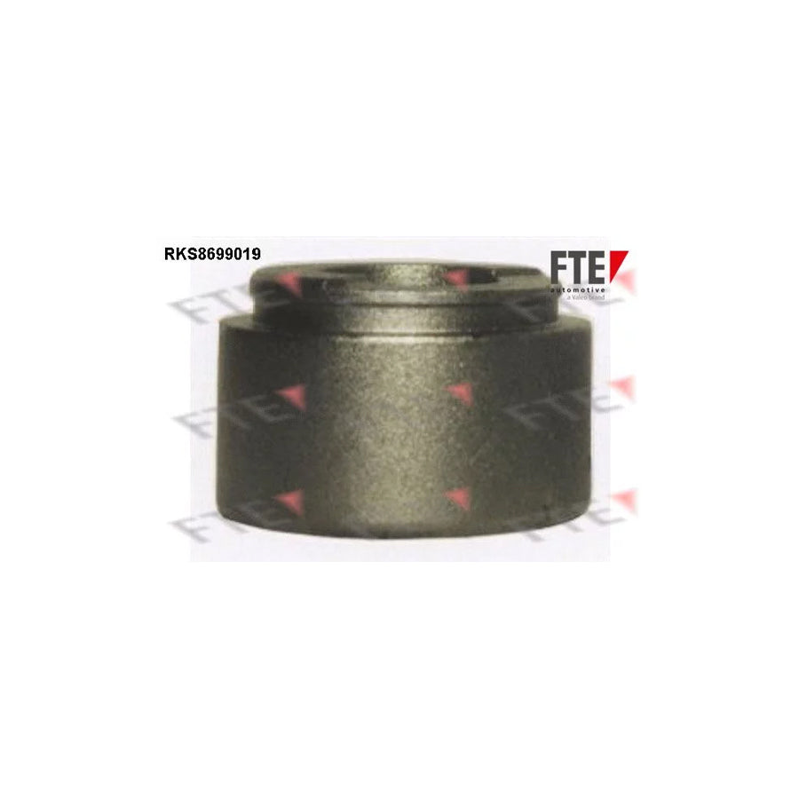 FTE 9313485 Piston, Brake Caliper